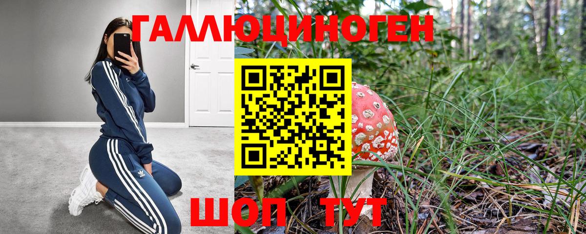 что такое   Галлюциногенные грибы прущие грибы  Вход с VPN  Котовск  Псилоцибиновые грибы GOLDEN TEACHER 