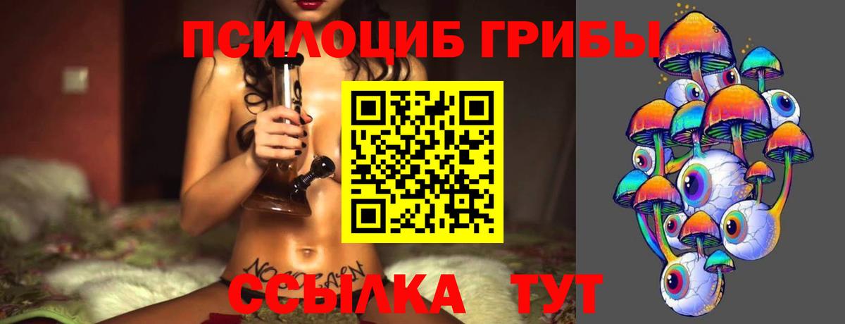 Галлюциногенные грибы Magic Shrooms Котовск